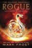 Rogue: Book 3 : Paladin Prophecy