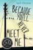 Because you'll never meet me: Book 1