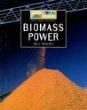 Biomass power