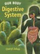 The digestive system