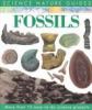 Fossils of the world