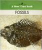 Fossils