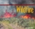 Wildfire