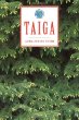 Taiga