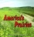 America's prairies