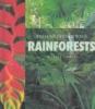 Rainforests : endangered jewels