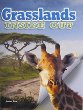 Grasslands inside out