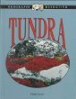 Tundra