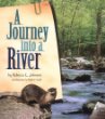 A journey into a river