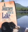 A journey into a lake