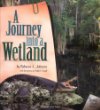 A journey into a wetland