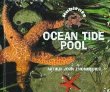 Ocean tide pool