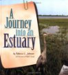A journey into an estuary