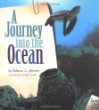 A journey into the ocean
