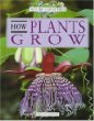 How plants grow