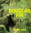 Douglas fir