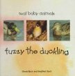 Fuzzy the duckling