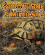 What are camouflage and mimicry?