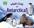 What lives in Antarctica?