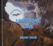 Limestone cave