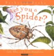 Are you a spider