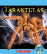 Tarantulas