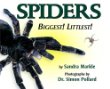 Spiders : biggest! littlest!