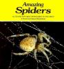 Amazing spiders