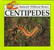 Centipedes