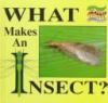 What makes an insect