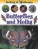 Butterflies and moths