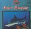 Baby sharks