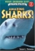Amazing sharks