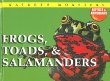 Frogs, toads, & salamanders