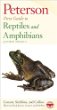 Peterson first guide to reptiles and amphibians