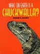 What on earth is a chuckwalla