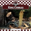 King cobras