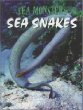 Sea snakes