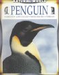 Penguin : habitats, life cycles, food chains, threats