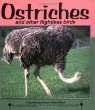 Ostriches and other flightless birds