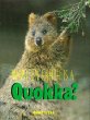 What on earth is a quokka