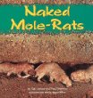 Naked mole-rats