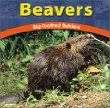 Beavers : big-toothed builders