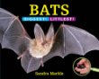 Bats : biggest! littlest!