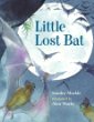 Little lost bat
