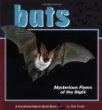 Bats : mysterious flyers of the night