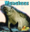 Manatees