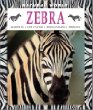 Zebra : habitats, life cycles, food chains, threats