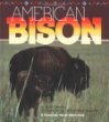 American bison