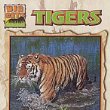 Tigers